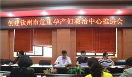 欽州市二醫(yī)院召開創(chuàng)建欽州市危重孕產(chǎn)婦救治中心推動會
